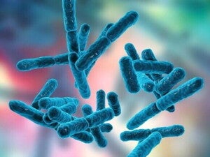 Imagem em close-up ilustrativa de bactérias do tipo Bifidobacterium, representadas em tons de azul sobre um fundo colorido desfocado.