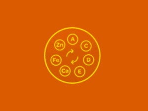 Rico em Cálcio e fonte de Zinco, Ferro, Vitamina A, E, C e D