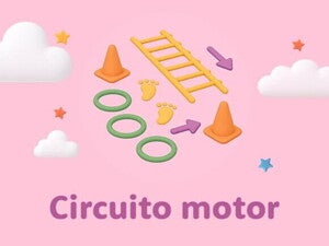 Circuito motor