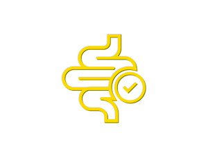 Funcionamento muscular