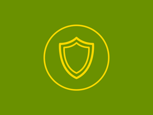 Vitaminas A, E, C e Zinco