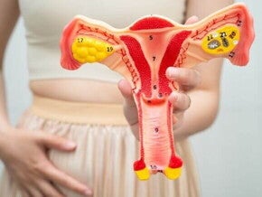 Modelo anatômico colorido do útero, ovários e trompas de Falópio, segurado por uma mulher