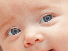 Olhos de um recém-nascido.