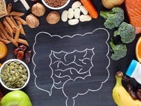 Imagem com um desenho de um intestino com várias frutas, legumes e ingredientes em gerais Imagem com um desenho de um intestino com várias frutas, legumes e ingredientes em gerais