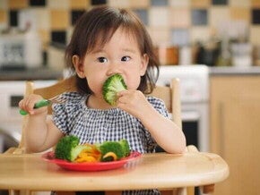 Uma criança pequena sentada em uma cadeira de alimentação, segurando e comendo um florete de brócolis cozido.