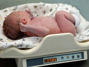Um recém-nascido é pesado em uma balança hospitalar, com o visor mostrando 3.986 kg, ilustrando a medição para determinar qual o peso normal de um recém-nascido.