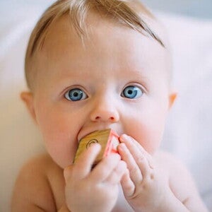 bebê mordendo brinquedo bebê mordendo brinquedo