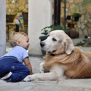 cachorro e bebê cachorro e bebê