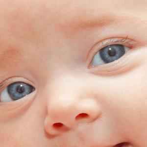 Olhos de um recém-nascido.