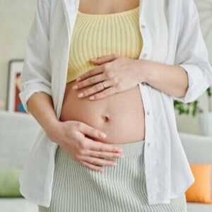 Uma mulher grávida em pé, com as duas mãos sobre a barriga. Uma mulher grávida em pé, com as duas mãos sobre a barriga.