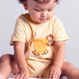 How to Toilet Train a Toddler How to Toilet Train a Toddler