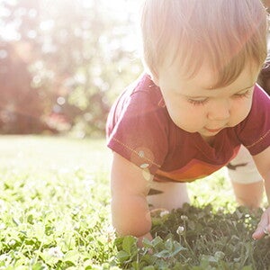 dicas ambientalmente corretas para bebes dicas ambientalmente corretas para bebes