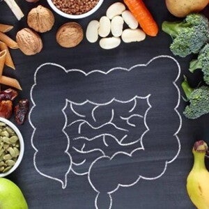 Imagem com um desenho de um intestino com várias frutas, legumes e ingredientes em gerais Imagem com um desenho de um intestino com várias frutas, legumes e ingredientes em gerais
