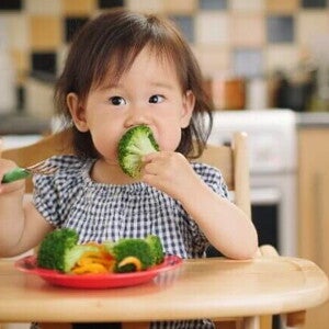 Uma criança pequena sentada em uma cadeira de alimentação, segurando e comendo um florete de brócolis cozido.