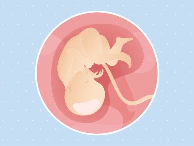 35ª semana de gravidez