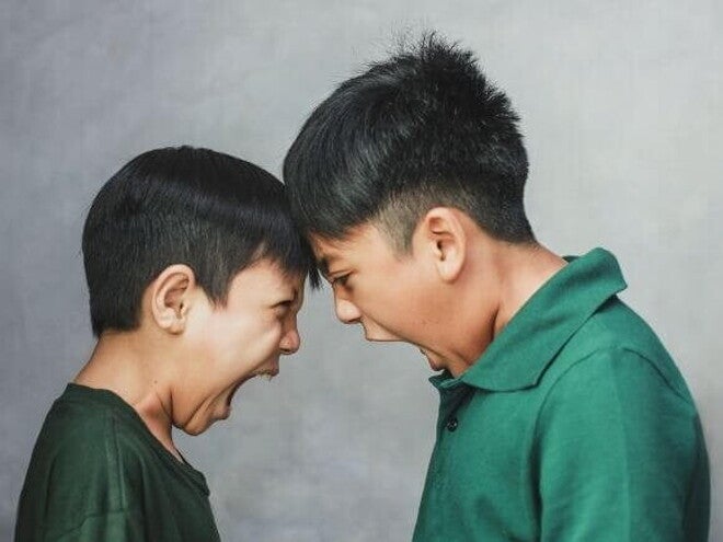 Dois meninos em idade escolar, frente a frente, gritando um com o outro com expressões de raiva. Os rostos estão muito próximos, ilustrando um momento intenso de briga entre irmãos.