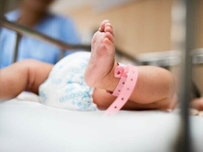 Close de um bebê recém-nascido deitado em um berço hospitalar, com uma pulseira rosa de identificação no tornozelo, simbolizando cuidados neonatais e saúde infantil. Close de um bebê recém-nascido deitado em um berço hospitalar, com uma pulseira rosa de identificação no tornozelo, simbolizando cuidados neonatais e saúde infantil.