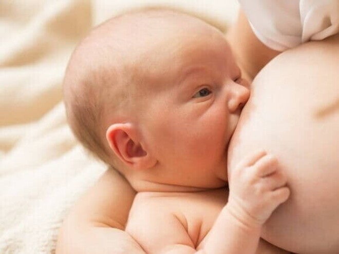 Um bebê recém-nascido sendo amamentado. Um bebê recém-nascido sendo amamentado.