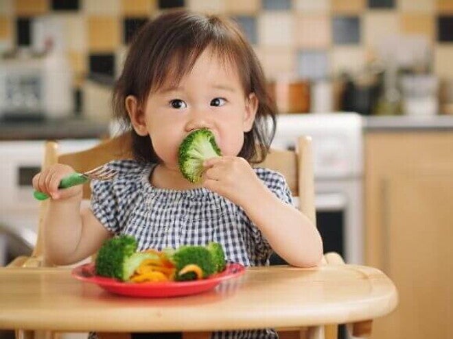 Uma criança pequena sentada em uma cadeira de alimentação, segurando e comendo um florete de brócolis cozido.