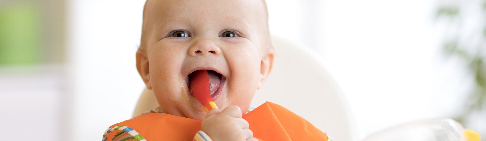 Nutrição, Alimentação e Saúde
