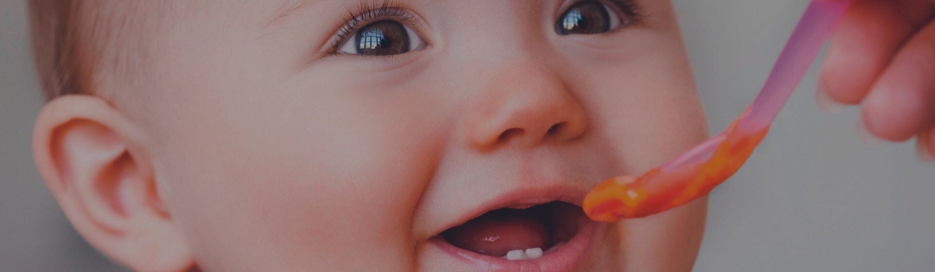 Alimentação complementar Bebê recebendo papinha