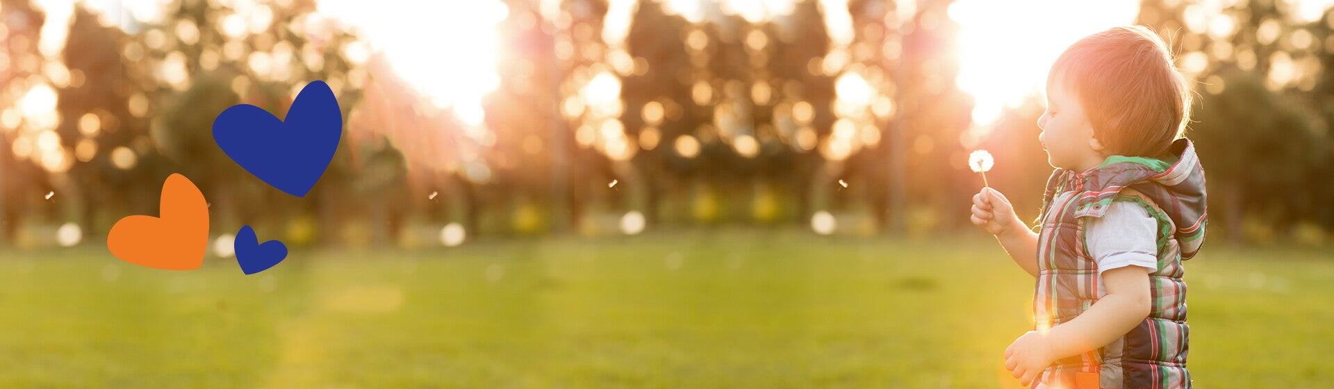 A child blowing a dandelion