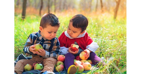 Em quais alimentos são encontradas as gorduras? Em quais alimentos são encontradas as gorduras?