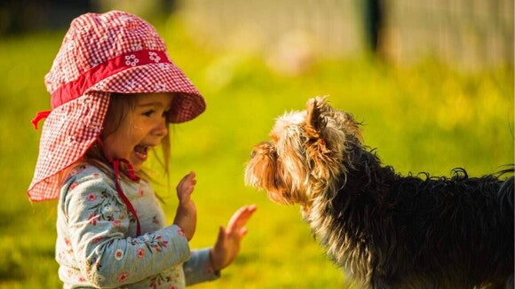 Uma menina com as mãos levantadas e a boca aberta em frente a um cachorro Uma menina com as mãos levantadas e a boca aberta em frente a um cachorro