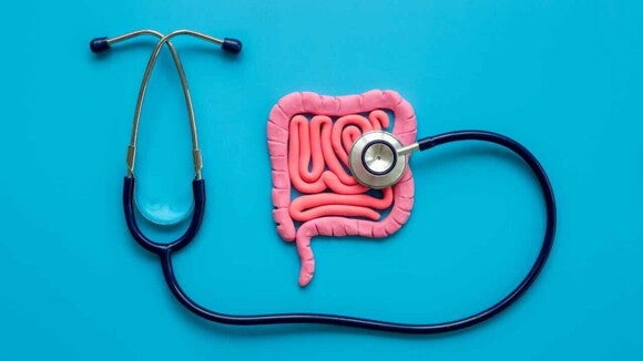 Ilustração de um intestino com um estetoscópio, sobre um fundo azul.