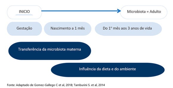 Figura 2. Desenvolvimento da microbiota do bebê Figura 2. Desenvolvimento da microbiota do bebê