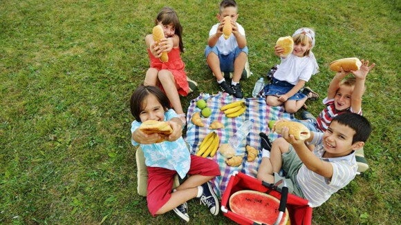 Um grupo de crianças felizes sentadas em uma grama verde, com uma toalha xadrez com frutas e sanduíches, fazendo um piquenique. Elas seguram pães e sorriem para a câmera, ilustrando opções de lanche da tarde para crianças. Um grupo de crianças felizes sentadas em uma grama verde, com uma toalha xadrez com frutas e sanduíches, fazendo um piquenique. Elas seguram pães e sorriem para a câmera, ilustrando opções de lanche da tarde para crianças.