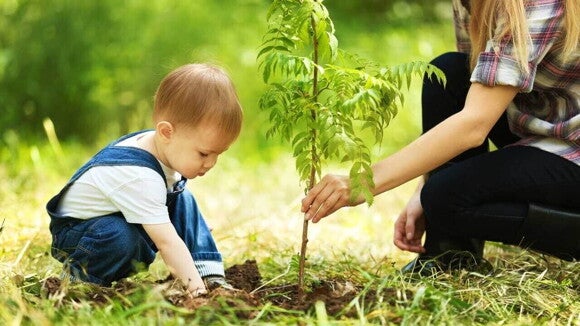 Uma bebê de macacão azul ajudando uma pessoa adulta a plantar uma pequena muda em um campo gramado ao ar livre. Uma bebê de macacão azul ajudando uma pessoa adulta a plantar uma pequena muda em um campo gramado ao ar livre.